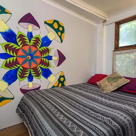 In The Green Backpackers Morgans Bay Exterior foto