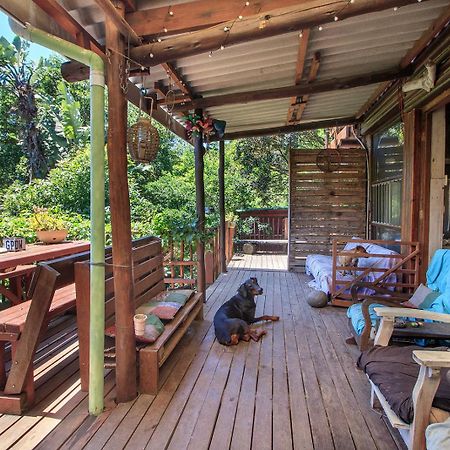 In The Green Backpackers Morgans Bay Exterior foto