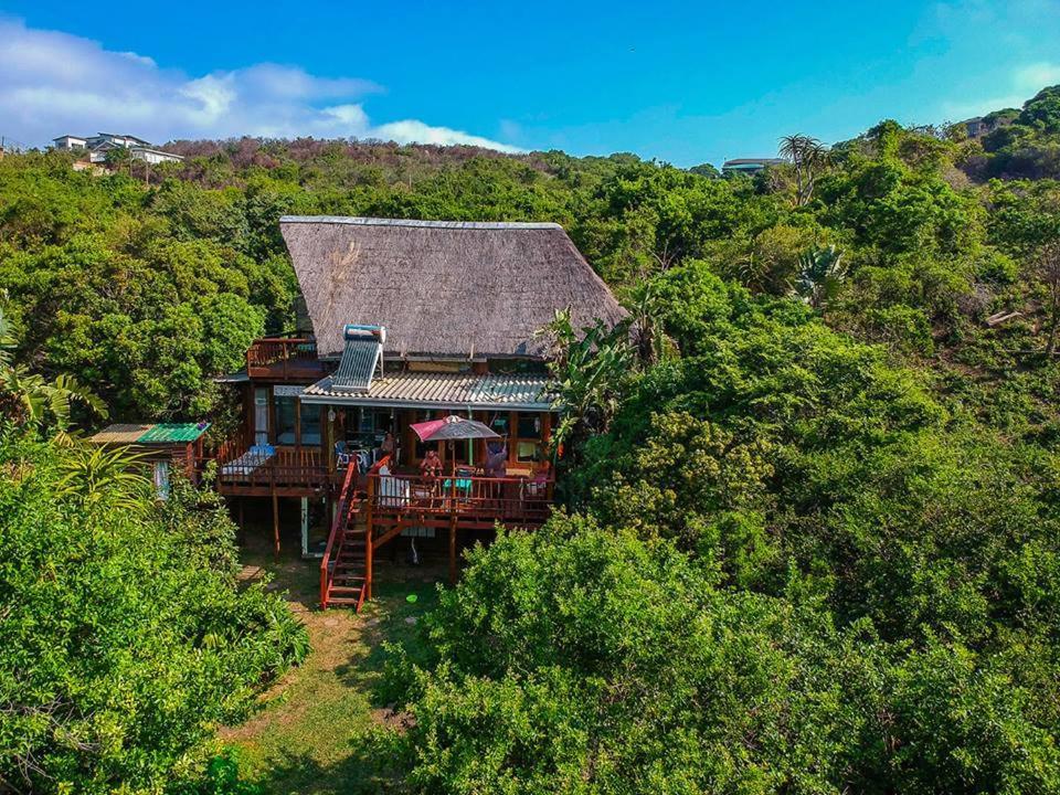 In The Green Backpackers Morgans Bay Exterior foto